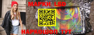 гидропоника Дубна