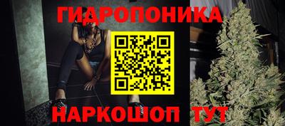 гидропоника Дубна