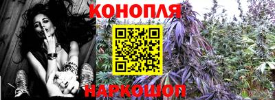 гидропоника Дубна